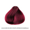 Richée Prismcolor Coloração 6/26 Louro Escuro Violeta Vermelho (Marsala) 60g