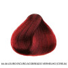 Richée Prismcolor Coloração 66/46 Louro Escuro Acobreado Vermelho (Cereja) 60g